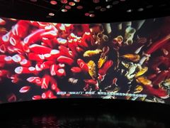 -同济大学四平路校区深海探索馆