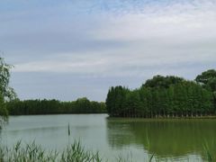 -苏州太湖国家湿地公园