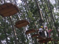 -朝阳公园游乐园