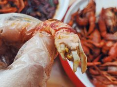 -不炭白烧烤(成都首店)