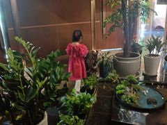 -鱼翅楼·津派砂锅鱼翅(水上公园店)