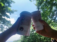 -茶颜悦色(岳麓山顶店)