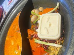 -生活如沸·顺德水牛奶火锅(大学路店)