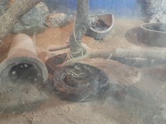 -泉州海丝野生动物世界