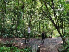 -麦里芝蓄水池