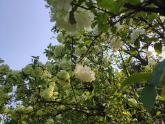 -白塘生态植物园