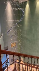 -水女人科技美肤·LDM·超清秀