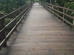 -野象谷景区