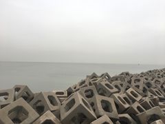 -东疆建设开发纪念公园