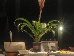 -肴约·花园式餐厅(湖里店)
