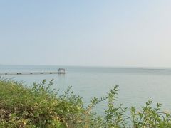 -贡湖湾湿地公园