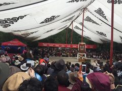 -罗布林卡
