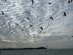 -蓬莱阁景区