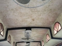 -合肥滨湖国家森林公园