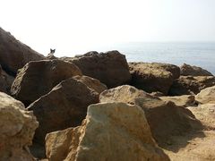-维乐口腔医院(星海湾分院)