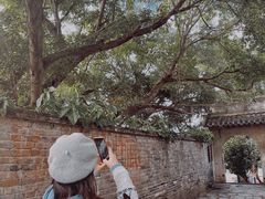 -扬美古镇景区