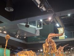 -墨尔本博物馆(Melbourne Museum)