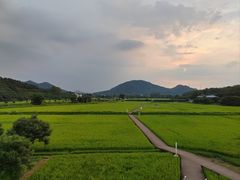 -艾米稻香小镇