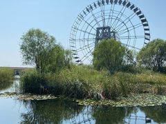 -苏州太湖湖滨国家湿地公园