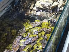 -四海蒸鲜蒸汽海鲜自助(北戴河店)