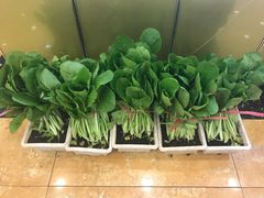 -北塘海鲜·天津菜(大光明桥旗舰店)