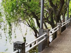 -南诏风情岛