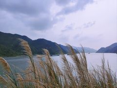 -羚羊峡古栈道森林公园