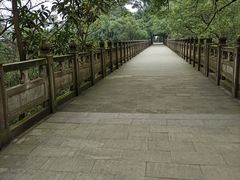 -南山植物园