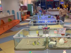 点击看大图 -meland亲子乐园•派对•研学(苏州悠方购物中心店)