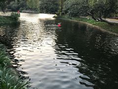 -晓港公园
