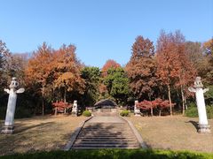 -灵谷景区