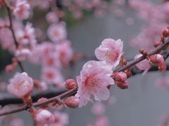 -静安雕塑公园
