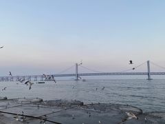 -星海广场