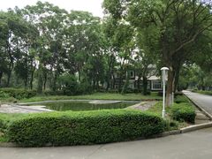-华西村