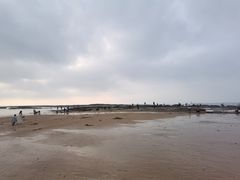 -日照灯塔风景区