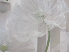 -龙湖西安曲江天街