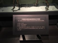 -大庆市博物馆