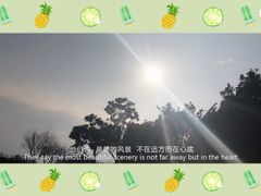 -东华大学(松江校区)