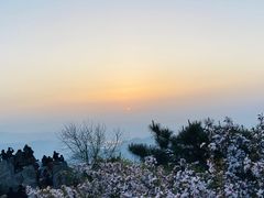 -泰山风景名胜区