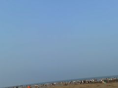 -日照海滨国家森林公园