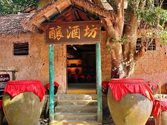 -海南槟榔谷黎苗文化旅游区