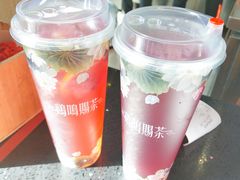 -鸡鸣赐茶(鸡鸣寺路店)