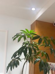 -HEYAN荷妍专业脱毛连锁机构