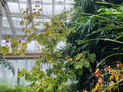 -昆明植物园