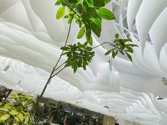 -大树餐厅(朝阳大悦城店)