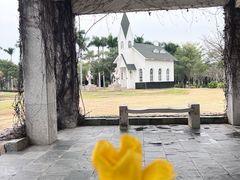 -厦门园林博览苑