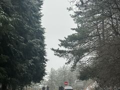 -四明山国家森林公园