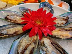 -喜聚薈·花膠雞海鮮火鍋(越秀店)