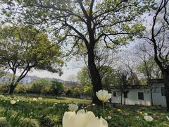 -无锡梅园公园