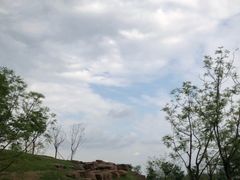 -树夏(鹭洲里店)